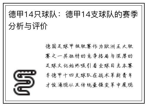 德甲14只球队：德甲14支球队的赛季分析与评价