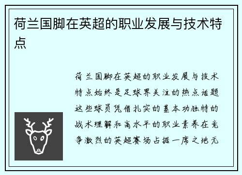 荷兰国脚在英超的职业发展与技术特点